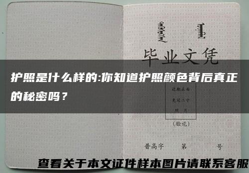 护照是什么样的:你知道护照颜色背后真正的秘密吗？缩略图