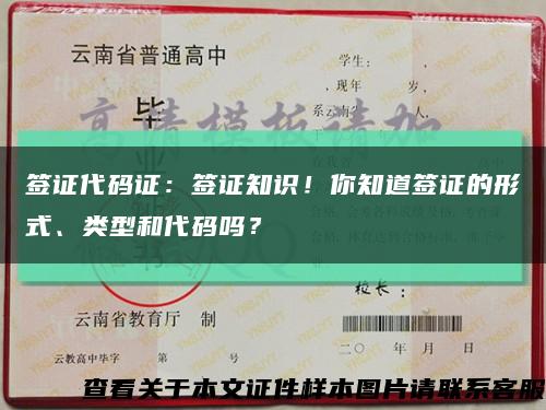 签证代码证：签证知识！你知道签证的形式、类型和代码吗？缩略图