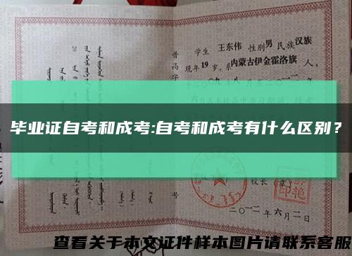 毕业证自考和成考:自考和成考有什么区别？缩略图