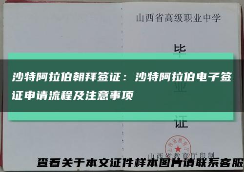 沙特阿拉伯朝拜签证：沙特阿拉伯电子签证申请流程及注意事项缩略图