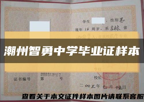 潮州智勇中学毕业证样本缩略图