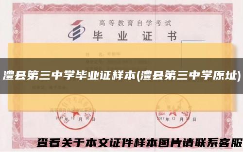 澧县第三中学毕业证样本(澧县第三中学原址)缩略图