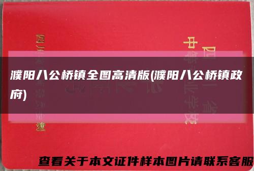 濮阳八公桥镇全图高清版(濮阳八公桥镇政府)缩略图