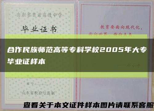 合作民族师范高等专科学校2005年大专毕业证样本缩略图