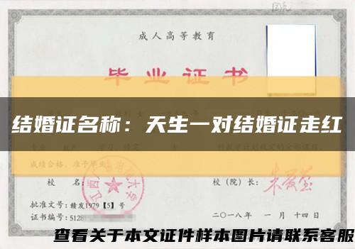 结婚证名称：天生一对结婚证走红缩略图
