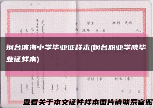 烟台滨海中学毕业证样本(烟台职业学院毕业证样本)缩略图