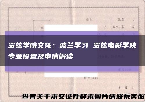 罗兹学院文凭：波兰学习 罗兹电影学院专业设置及申请解读缩略图