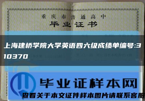 上海建桥学院大学英语四六级成绩单编号:310370缩略图