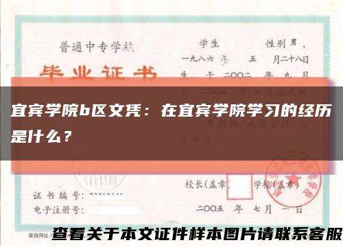 宜宾学院b区文凭：在宜宾学院学习的经历是什么？缩略图