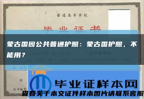 蒙古国因公共普通护照：蒙古国护照，不能用？缩略图