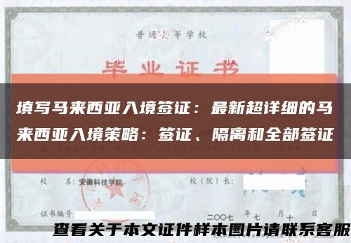 填写马来西亚入境签证：最新超详细的马来西亚入境策略：签证、隔离和全部签证缩略图