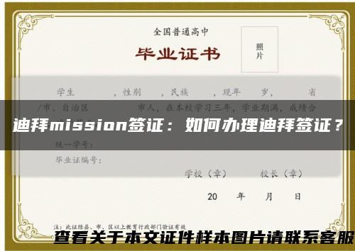 迪拜mission签证：如何办理迪拜签证？缩略图