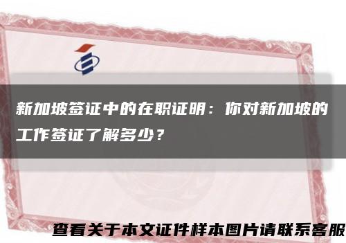 新加坡签证中的在职证明：你对新加坡的工作签证了解多少？缩略图