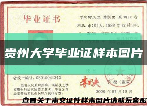 贵州大学毕业证样本图片缩略图