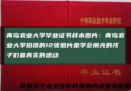 青岛农业大学毕业证书样本图片：青岛农业大学拍摄的12张照片是学会用光的孩子们最真实的感动缩略图