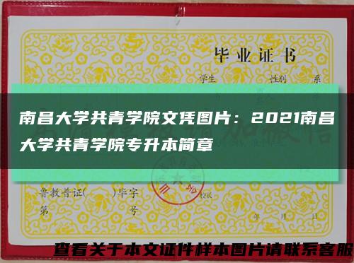 南昌大学共青学院文凭图片：2021南昌大学共青学院专升本简章缩略图