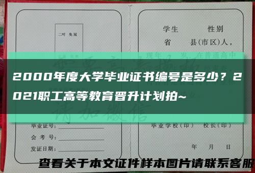 2000年度大学毕业证书编号是多少？2021职工高等教育晋升计划拍~缩略图