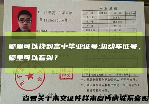 哪里可以找到高中毕业证号:机动车证号，哪里可以看到？缩略图