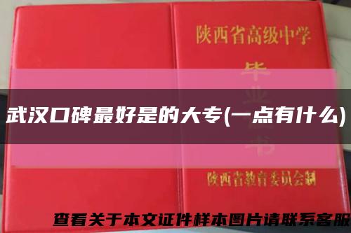 武汉口碑最好是的大专(一点有什么)缩略图