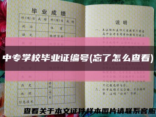 中专学校毕业证编号(忘了怎么查看)缩略图