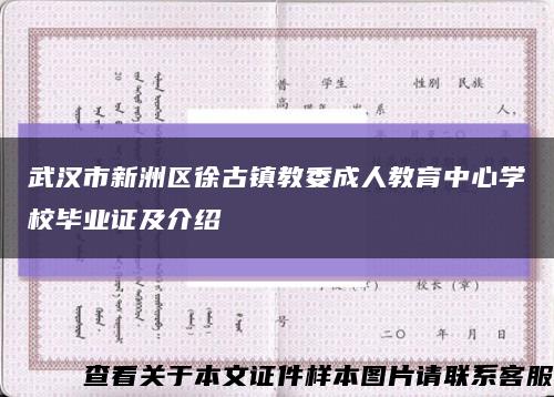 武汉市新洲区徐古镇教委成人教育中心学校毕业证及介绍缩略图