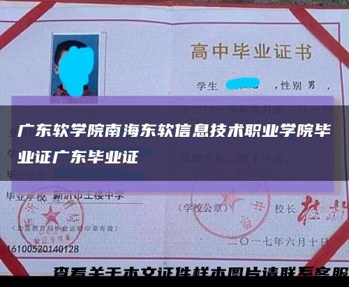 广东软学院南海东软信息技术职业学院毕业证广东毕业证缩略图