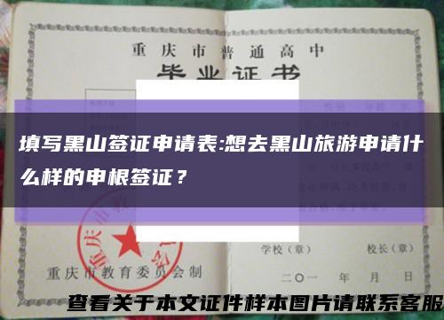 填写黑山签证申请表:想去黑山旅游申请什么样的申根签证？缩略图