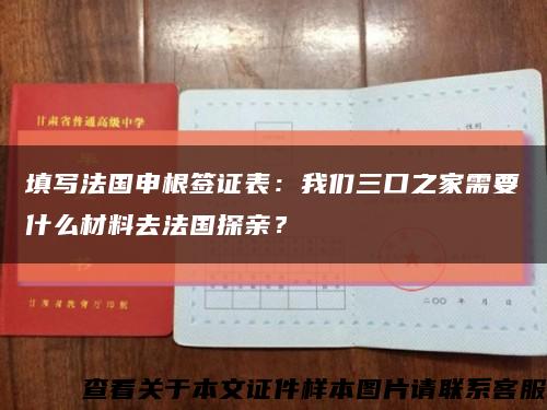 填写法国申根签证表：我们三口之家需要什么材料去法国探亲？缩略图