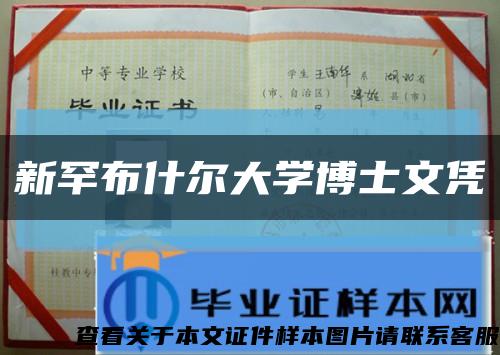 新罕布什尔大学博士文凭缩略图