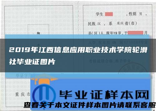 2019年江西信息应用职业技术学院轮滑社毕业证图片缩略图