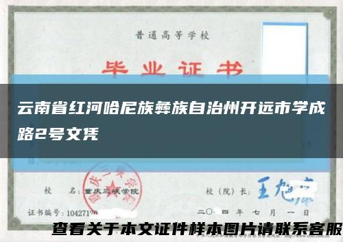 云南省红河哈尼族彝族自治州开远市学成路2号文凭缩略图