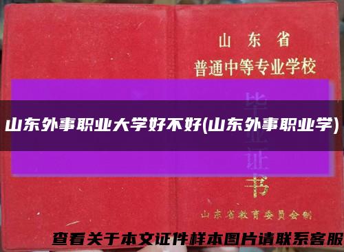 山东外事职业大学好不好(山东外事职业学)缩略图