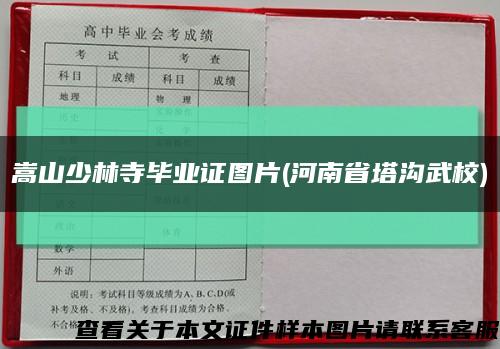 嵩山少林寺毕业证图片(河南省塔沟武校)缩略图