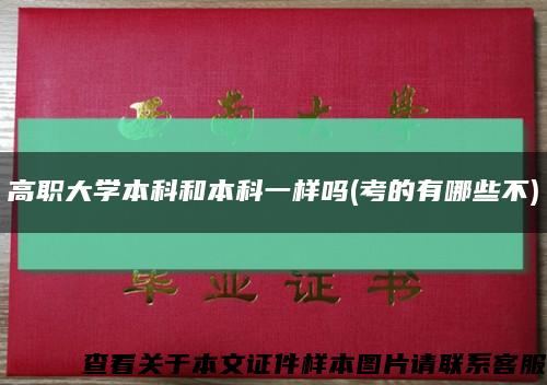 高职大学本科和本科一样吗(考的有哪些不)缩略图