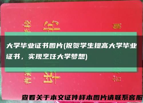 大学毕业证书图片(祝贺学生提高大学毕业证书，实现烹饪大学梦想)缩略图