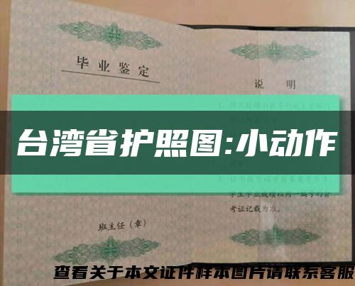 台湾省护照图:小动作缩略图