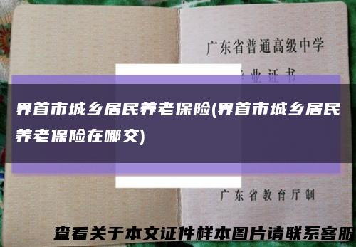 界首市城乡居民养老保险(界首市城乡居民养老保险在哪交)缩略图