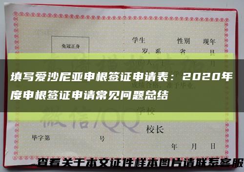 填写爱沙尼亚申根签证申请表：2020年度申根签证申请常见问题总结缩略图