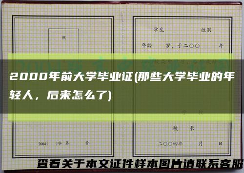 2000年前大学毕业证(那些大学毕业的年轻人，后来怎么了)缩略图