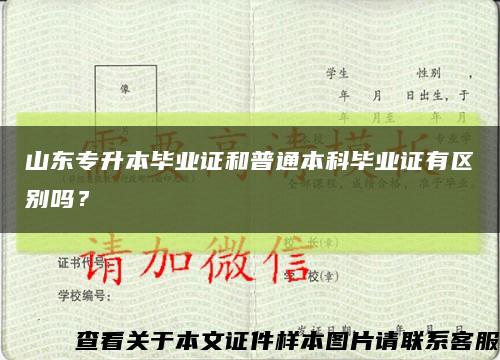 山东专升本毕业证和普通本科毕业证有区别吗？缩略图