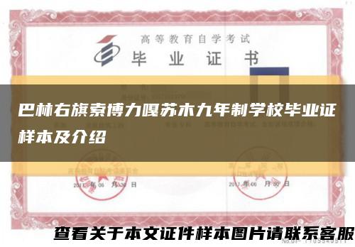 巴林右旗索博力嘎苏木九年制学校毕业证样本及介绍缩略图