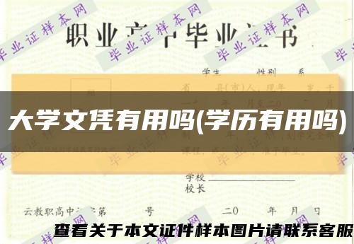 大学文凭有用吗(学历有用吗)缩略图