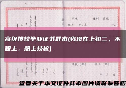 高级技校毕业证书样本(我现在上初二，不想上，想上技校)缩略图