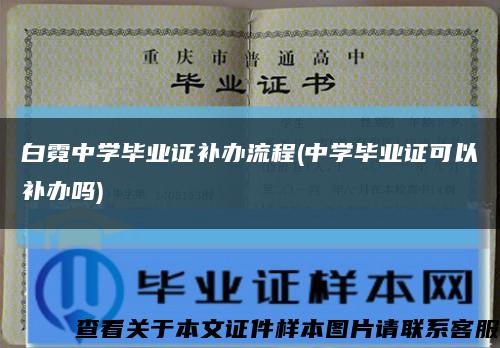 白霓中学毕业证补办流程(中学毕业证可以补办吗)缩略图