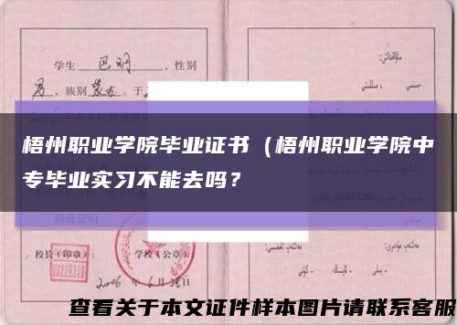 梧州职业学院毕业证书（梧州职业学院中专毕业实习不能去吗？缩略图