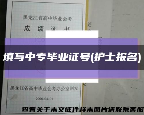 填写中专毕业证号(护士报名)缩略图