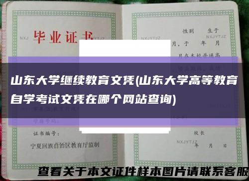 山东大学继续教育文凭(山东大学高等教育自学考试文凭在哪个网站查询)缩略图