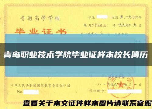 青岛职业技术学院毕业证样本校长简历缩略图