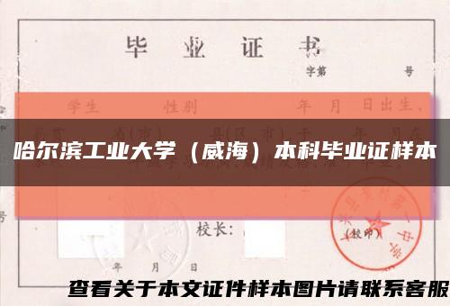 哈尔滨工业大学（威海）本科毕业证样本缩略图