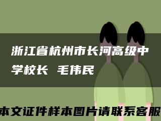 浙江省杭州市长河高级中学校长 毛伟民缩略图